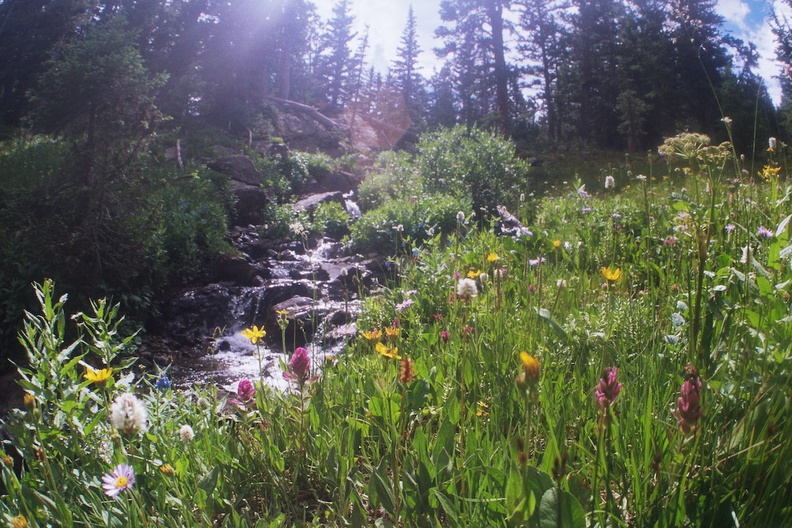 Lower Parika Lake 1.jpg